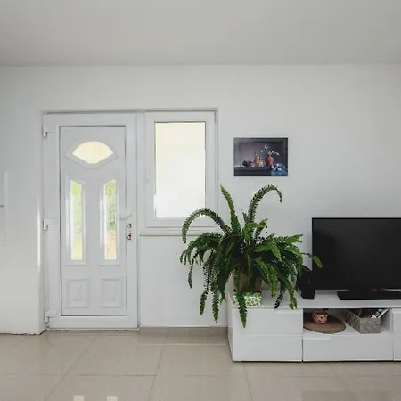 Apartment Mate Split